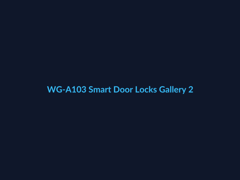 WG-A103 Smart Door Locks Gallery 2