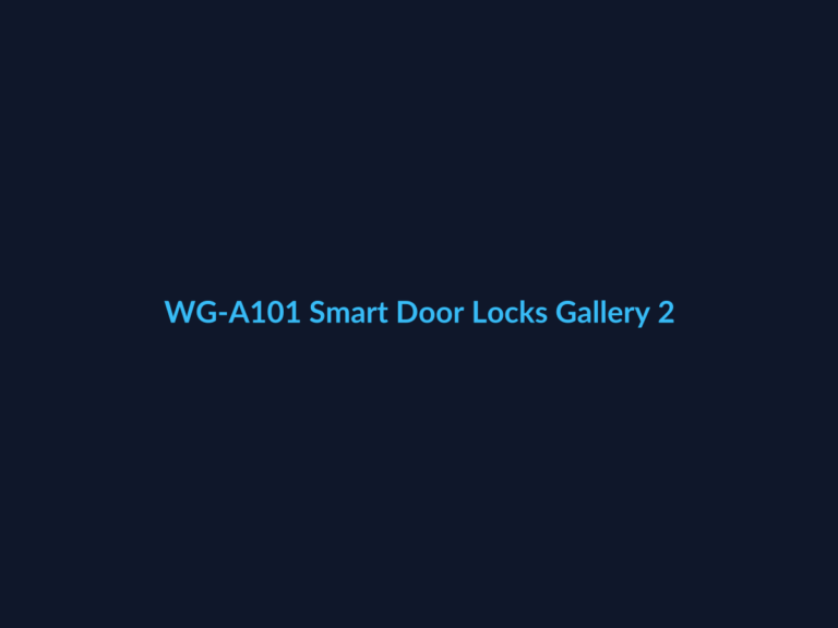 WG-A101 Smart Door Locks Gallery 2
