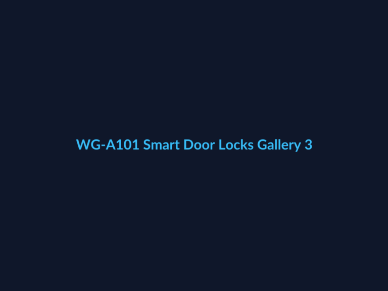 WG-A101 Smart Door Locks Gallery 3