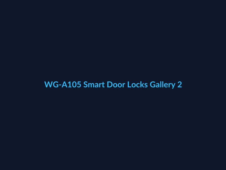 WG-A105 Smart Door Locks Gallery 2