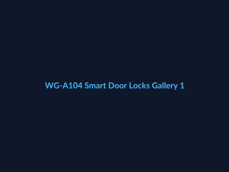WG-A104 Smart Door Locks Gallery 1