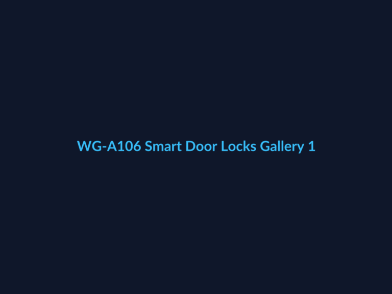 WG-A106 Smart Door Locks Gallery 1